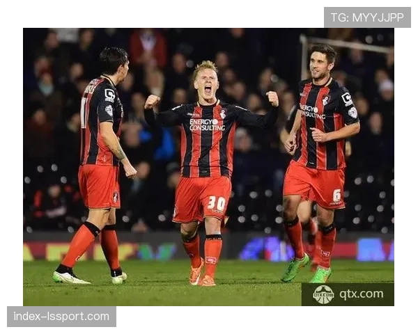 比赛暂停：水晶宫对阵伯恩茅斯因看台医疗紧急事件中断